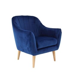 Picture of Blue Armchair